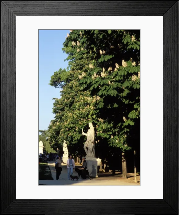 Framed Print : Statue and chestnut trees in the park Framed Print : Statue and chestnut trees in the park