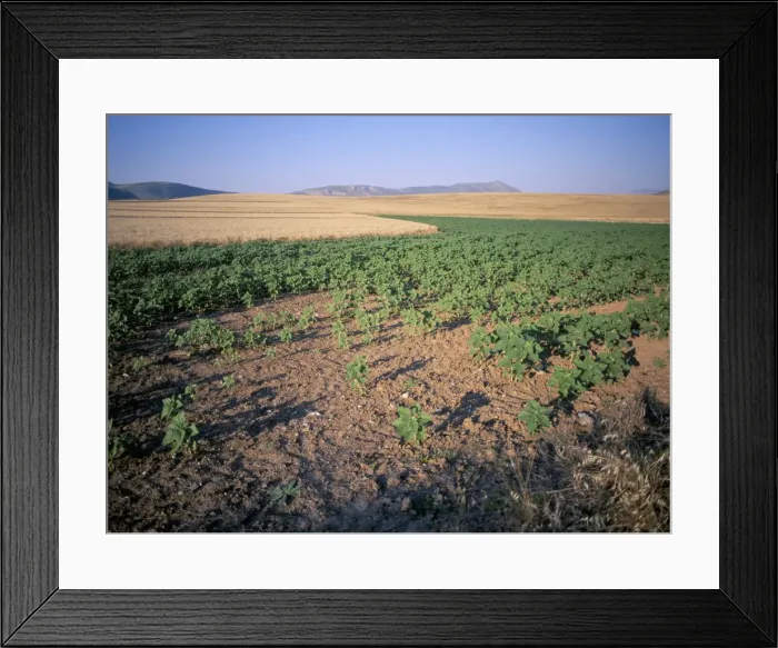 Framed Print : Andalucia (Andalusia) Framed Print : Andalucia (Andalusia)