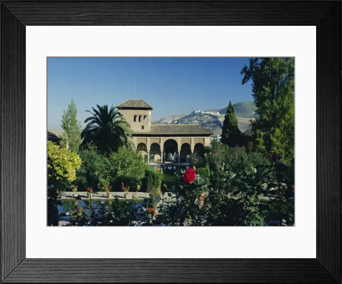 Framed Print : Alhambra Palace Framed Print : Alhambra Palace