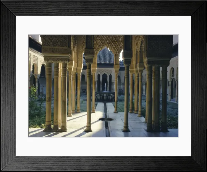 Framed Print : Lion Court Framed Print : Lion Court