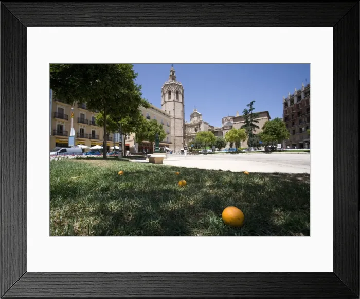 Framed Print : fallen orange Framed Print : fallen orange
