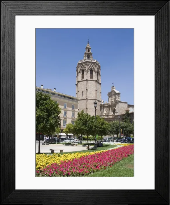 Framed Print : flower bed Framed Print : flower bed