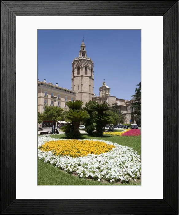 Framed Print : flower bed Framed Print : flower bed