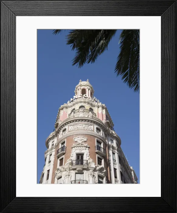 Framed Print : palm trees Framed Print : palm trees