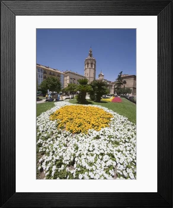 Framed Print : flower bed Framed Print : flower bed