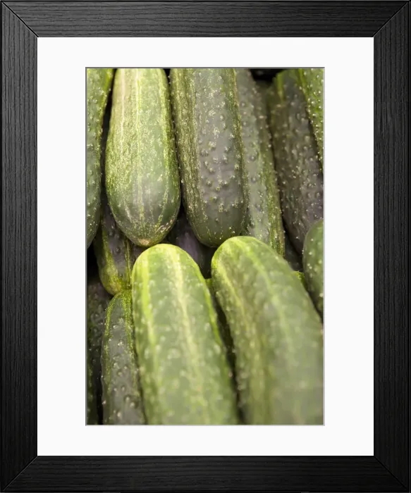 Framed Print : Cucumbers for sale