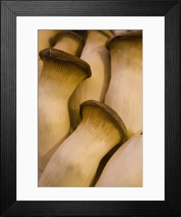Framed Print : Mushrooms for sale Framed Print : Mushrooms for sale