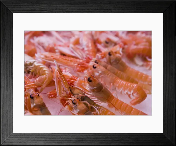 Framed Print : Langustines Framed Print : Langustines