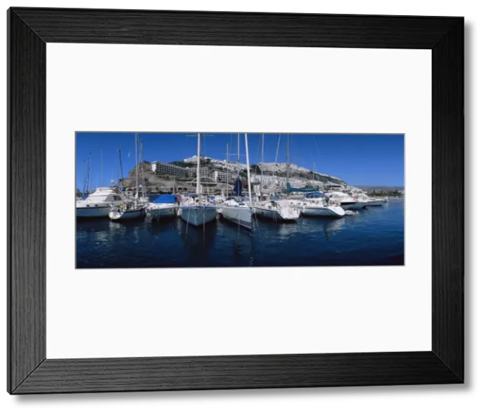 Framed Print : Puerto Rico Framed Print : Puerto Rico
