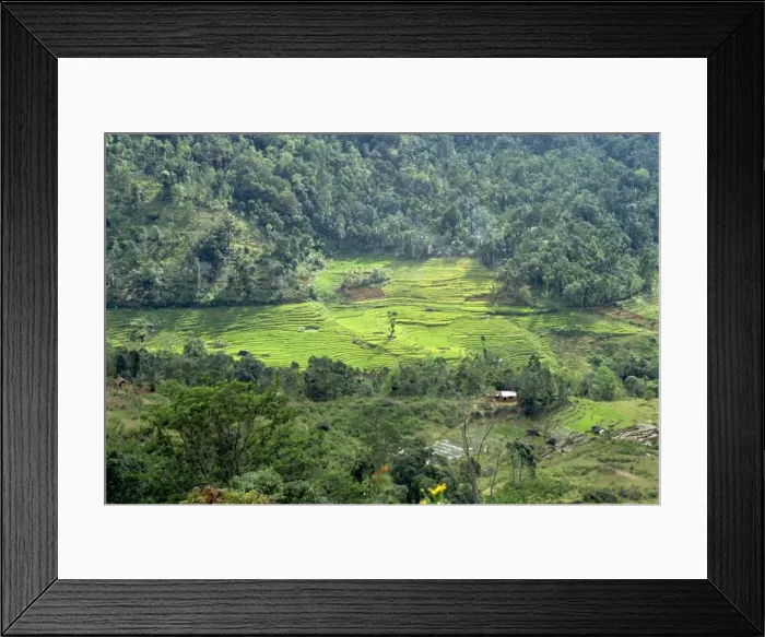 Framed Print : Nuwara Eliya area Framed Print : Nuwara Eliya area