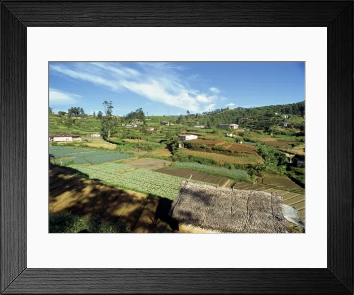 Framed Print : Agriculture Framed Print : Agriculture