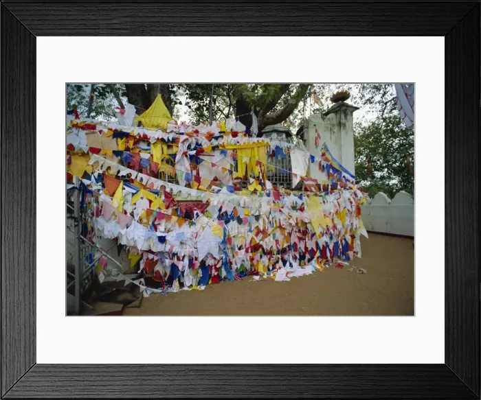 Framed Print : Shrine beneath a bodhi tree Framed Print : Shrine beneath a bodhi tree