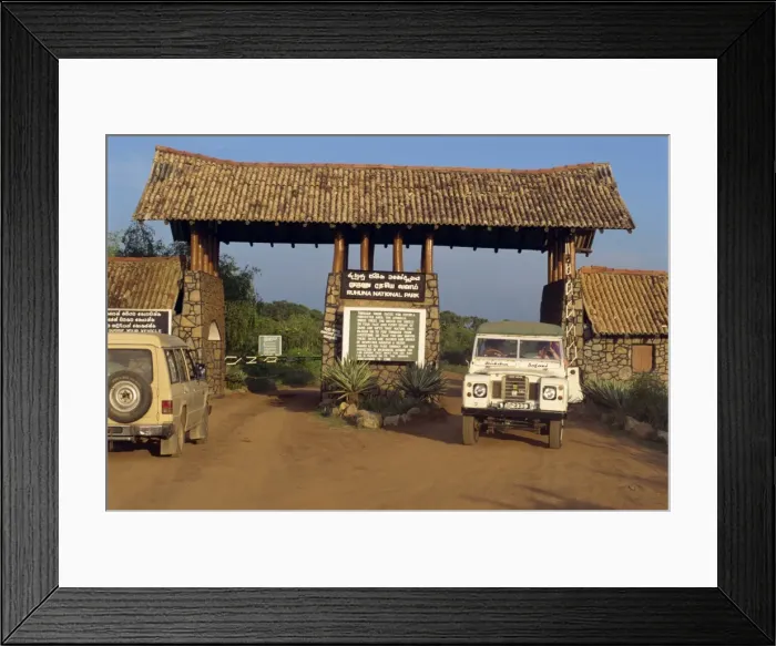 Framed Print : Yala Game Park Framed Print : Yala Game Park