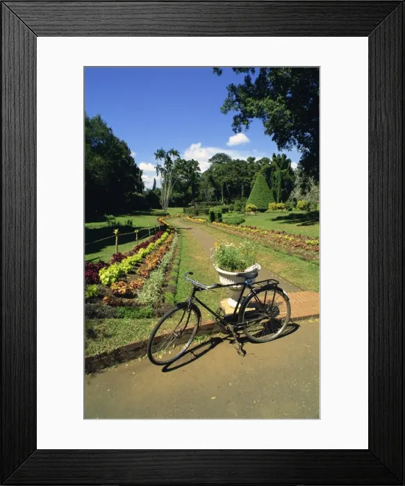 Framed Print : Botanical Gardens Framed Print : Botanical Gardens