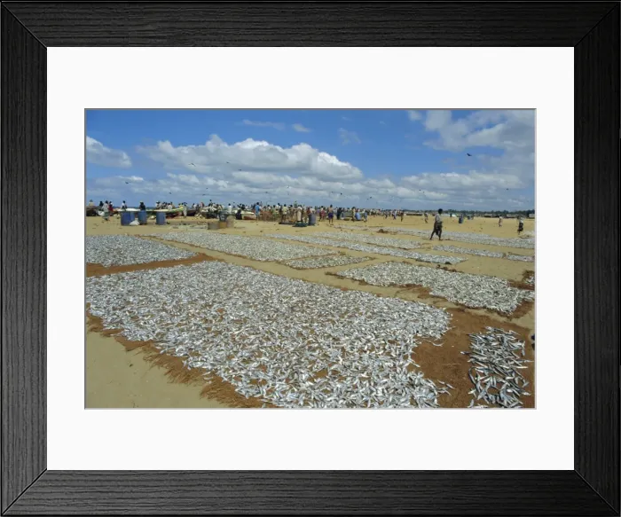 Framed Print : Fishing beach and market Framed Print : Fishing beach and market