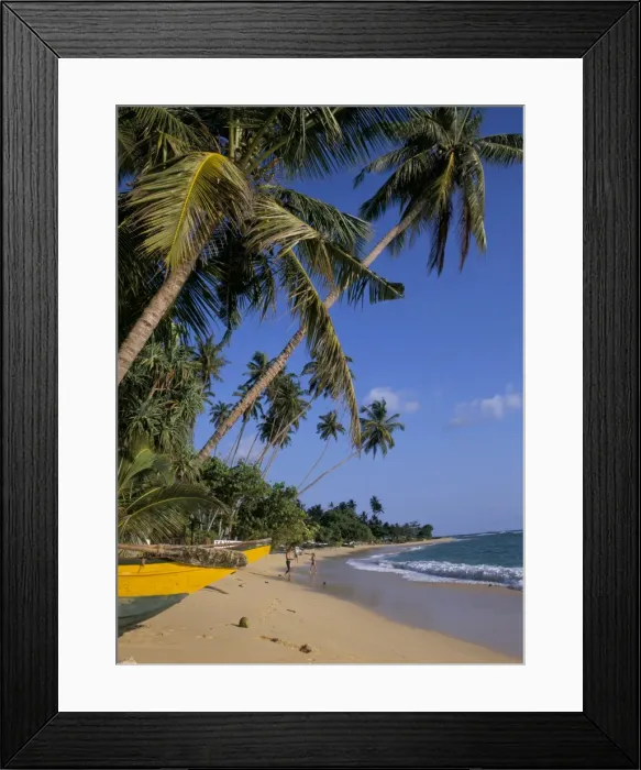 Framed Print : Palm trees and beach Framed Print : Palm trees and beach