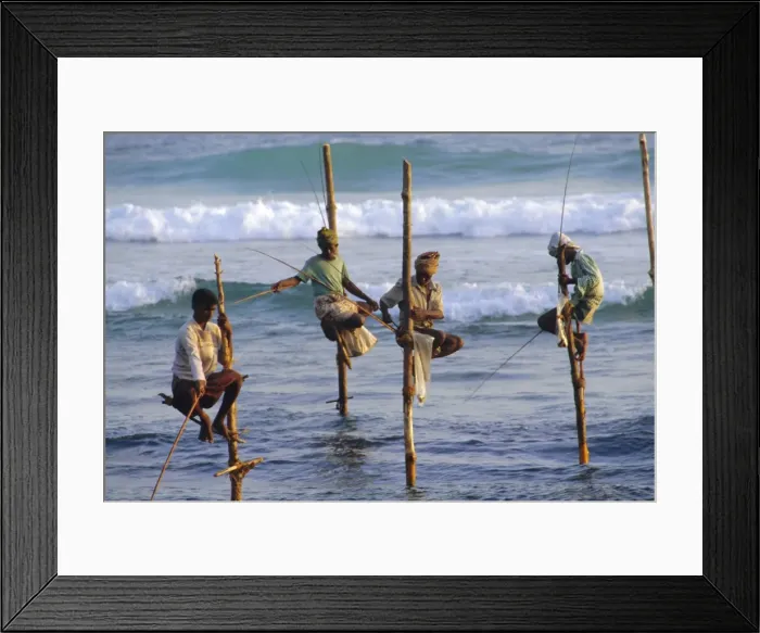 Framed Print : Stilt fishermen Framed Print : Stilt fishermen