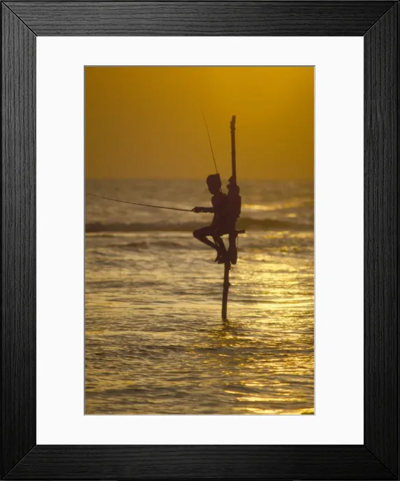 Framed Print : Stilt fisherman (pole fisherman) Framed Print : Stilt fisherman (pole fisherman)