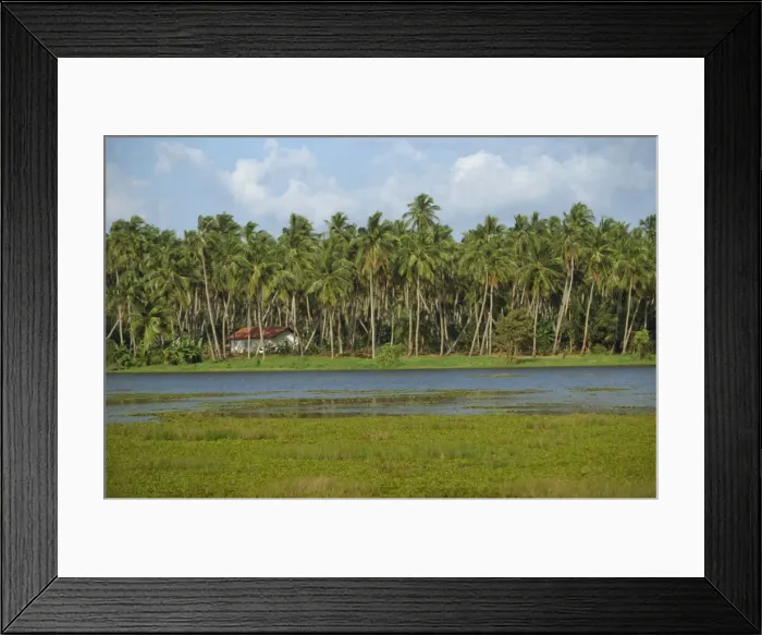 Framed Print : Waterway and house among palm trees near Negombo Framed Print : Waterway and house among palm trees near Negombo