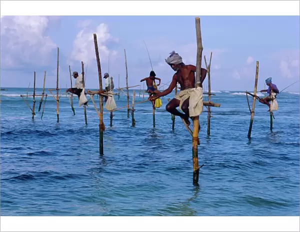 Stilt fishermen at Welligama