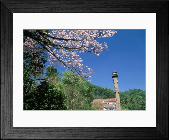 Framed Print : Temple of the Tooth (Dalada Maligawa) Framed Print : Temple of the Tooth (Dalada Maligawa)