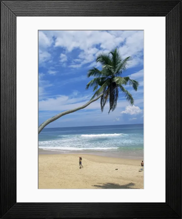 Framed Print : Palm tree and coconut seller