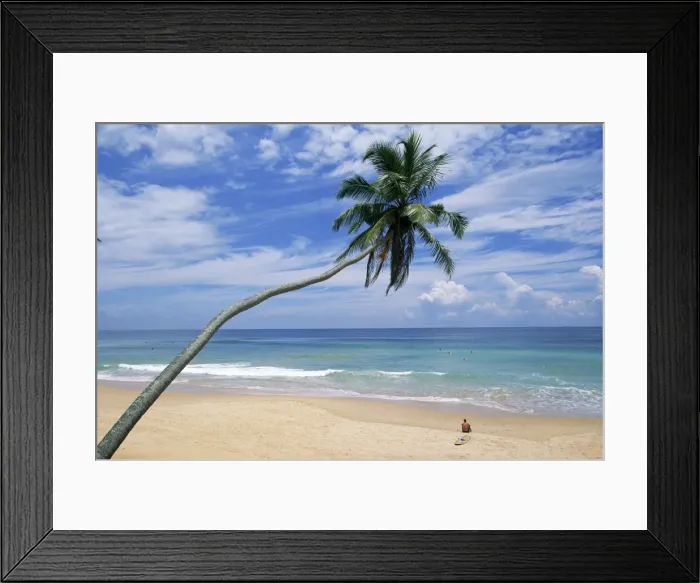Framed Print : Palm tree and surfer Framed Print : Palm tree and surfer