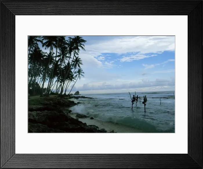 Framed Print : Stilt fishermen fishing from their poles between Unawatuna Framed Print : Stilt fishermen fishing from their poles between Unawatuna