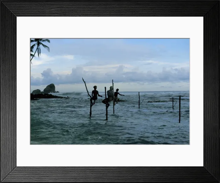 Framed Print : Stilt fishermen fishing from their poles between Unawatuna Framed Print : Stilt fishermen fishing from their poles between Unawatuna