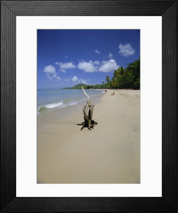 Framed Print : Beach at Choc Bay, St Framed Print : Beach at Choc Bay, St