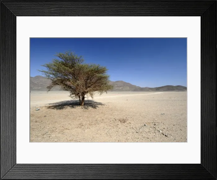 Framed Print : Nubian desert Framed Print : Nubian desert