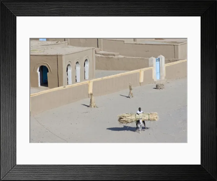 Framed Print : The oasis of Sesibi
