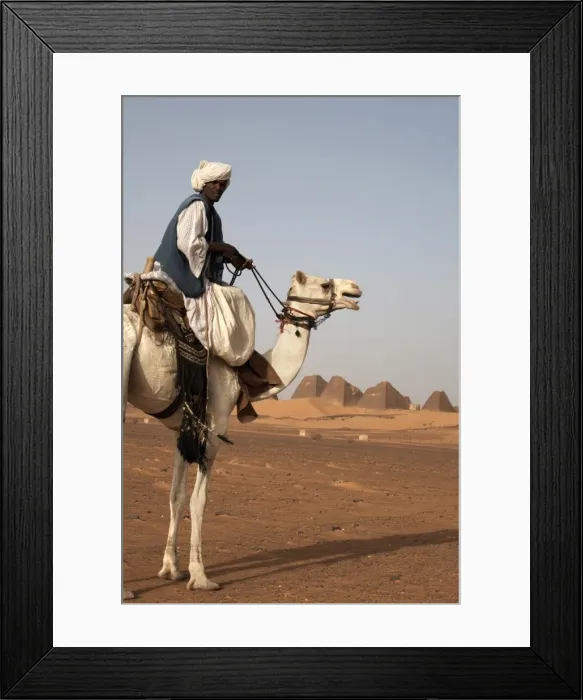 Framed Print : A guide and camel stand in front of the pyramids of Meroe Framed Print : A guide and camel stand in front of the pyramids of Meroe