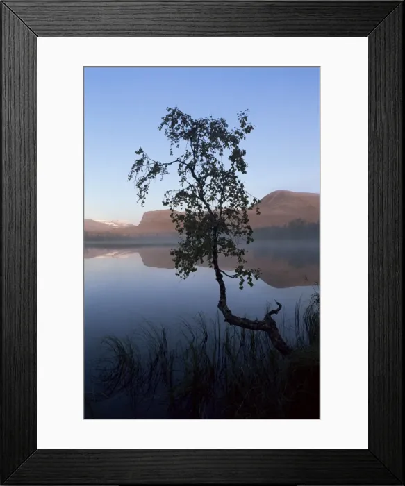 Framed Print : Autumn colours Framed Print : Autumn colours