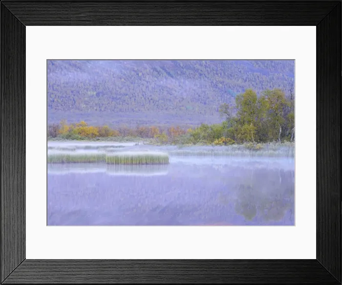 Framed Print : Laponia World Heritage Site Framed Print : Laponia World Heritage Site