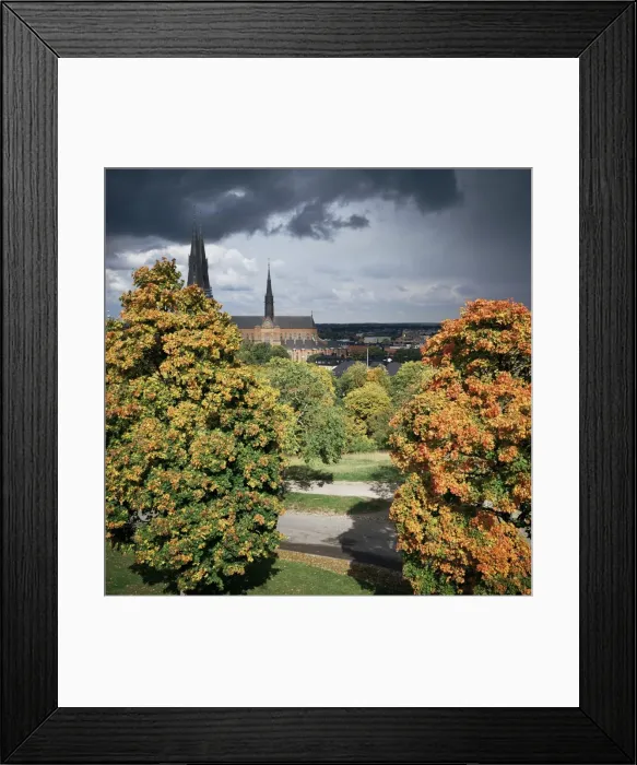 Framed Print : Uppsala cathedral Framed Print : Uppsala cathedral