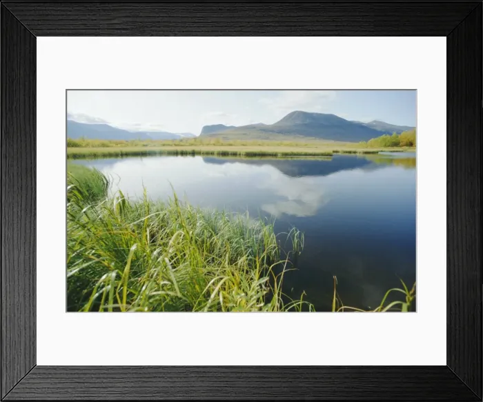 Framed Print : Tranquil landscape Framed Print : Tranquil landscape