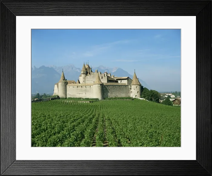 Framed Print : Chateau, Switzerland Framed Print : Chateau, Switzerland