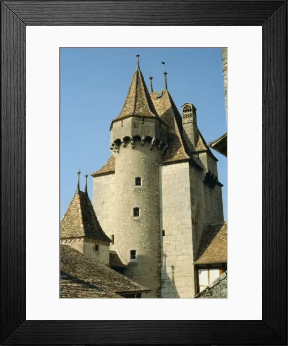 Framed Print : Chateau d Aigle Framed Print : Chateau d Aigle