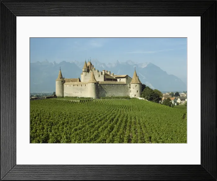 Framed Print : Chateau d Aigle Framed Print : Chateau d Aigle