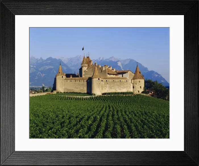 Framed Print : Aigle Chateau and vineyard Framed Print : Aigle Chateau and vineyard
