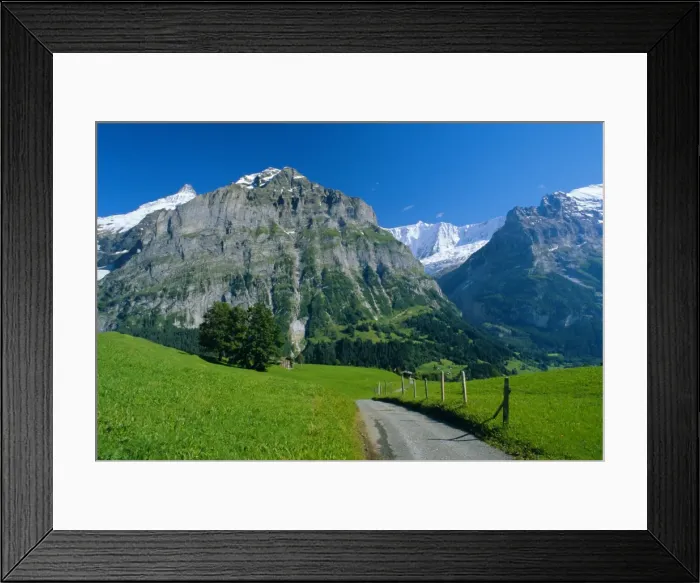 Framed Print : View along path through fields to the Schreckhorn and Fiescherhorner Framed Print : View along path through fields to the Schreckhorn and Fiescherhorner