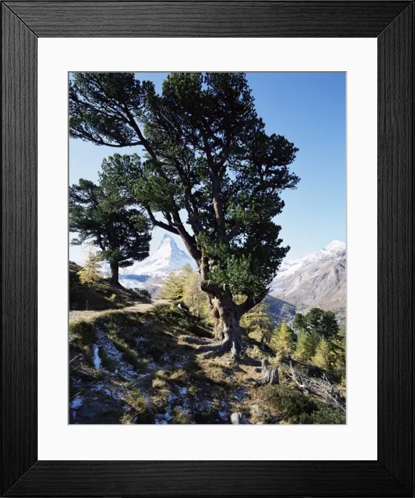 Framed Print : The Matterhorn Framed Print : The Matterhorn