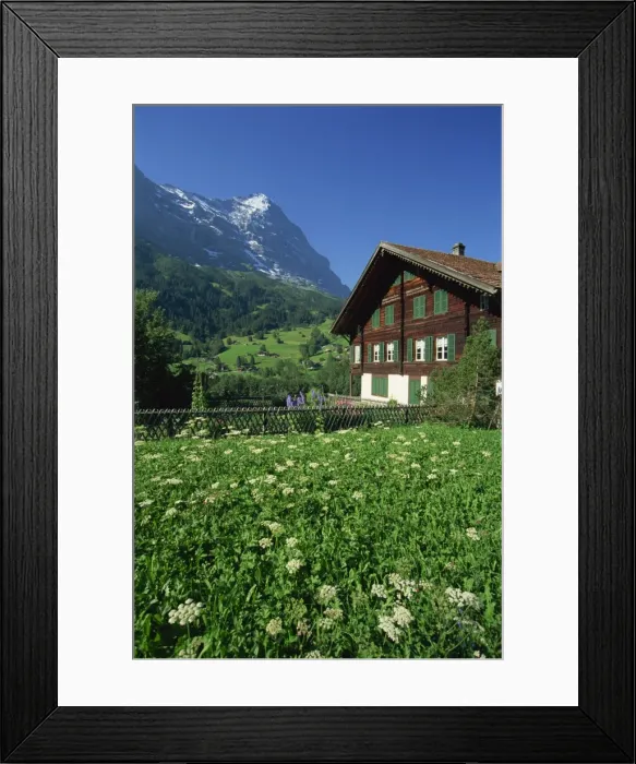 Framed Print : Fields and chalets at Grindelwald with the Eiger at 13026ft beyond Framed Print : Fields and chalets at Grindelwald with the Eiger at 13026ft beyond