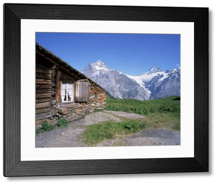 Framed Print : View from Grindelwald-First to Wetterhorn and Schreckhorn Framed Print : View from Grindelwald-First to Wetterhorn and Schreckhorn