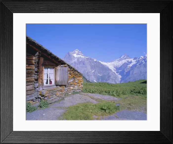 Framed Print : View from Grindelwald-Frist to Wetterhorn and Shreckhorn mountains Framed Print : View from Grindelwald-Frist to Wetterhorn and Shreckhorn mountains