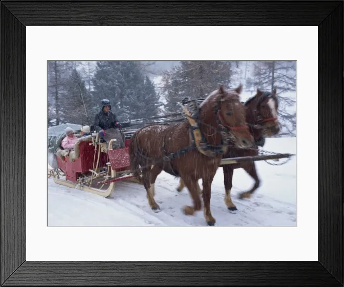 Framed Print : Horse drawn sleigh making for Pontressina in a snow storm Framed Print : Horse drawn sleigh making for Pontressina in a snow storm