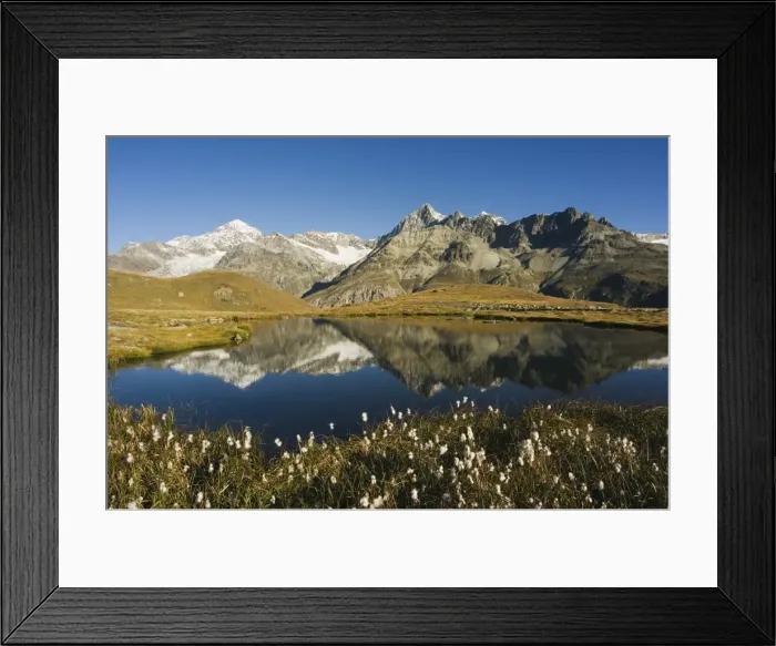 Framed Print : Alpine flowers and perfect reflection in lake at Schwarzee Paradise