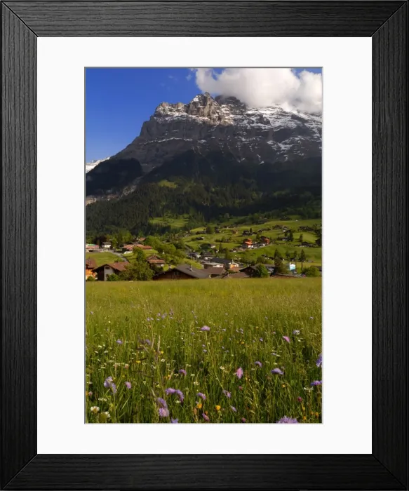 Framed Print : Spring alpine flower meadow and chalets Framed Print : Spring alpine flower meadow and chalets
