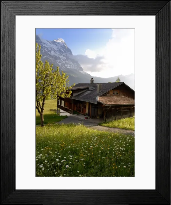 Framed Print : Spring alpine flower meadow and chalet Framed Print : Spring alpine flower meadow and chalet